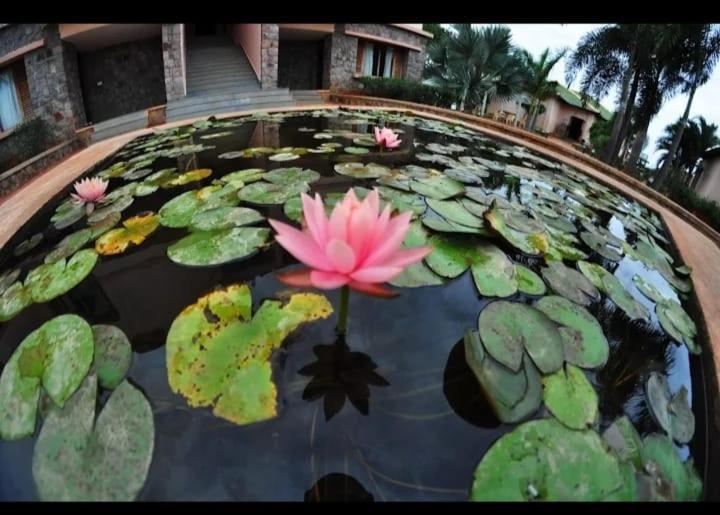 Krishna Heritage Resort Badami Buitenkant foto